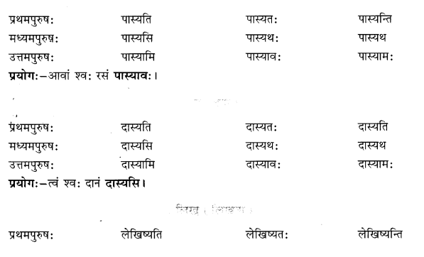 Class 6 Sanskrit Grammar Book Solutions लकाररूपाणि 14