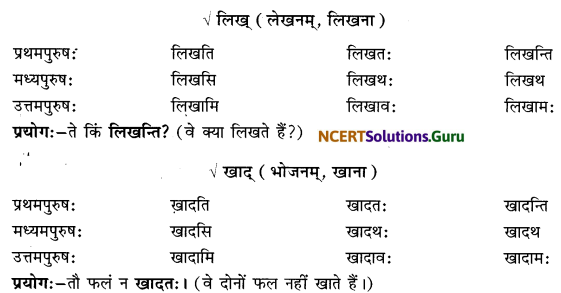 Class 6 Sanskrit Grammar Book Solutions लकाररूपाणि 2