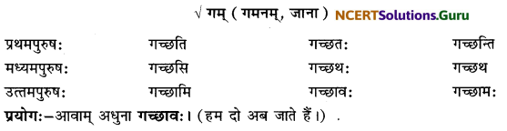Class 6 Sanskrit Grammar Book Solutions लकाररूपाणि 5