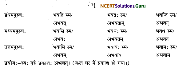 Class 6 Sanskrit Grammar Book Solutions लकाररूपाणि 7