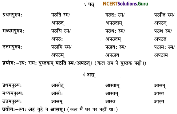 Class 6 Sanskrit Grammar Book Solutions लकाररूपाणि 8