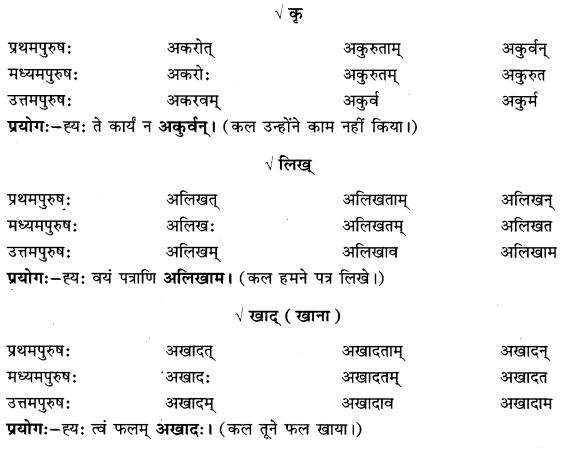 Class 6 Sanskrit Grammar Book Solutions लकाररूपाणि 9