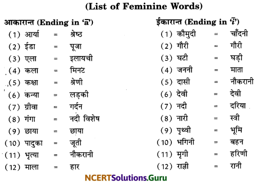 Class 6 Sanskrit Grammar Book Solutions लिङ्ग-बोधनम् 2