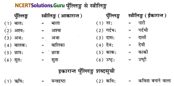 Class 6 Sanskrit Grammar Book Solutions लिङ्ग-बोधनम् 5