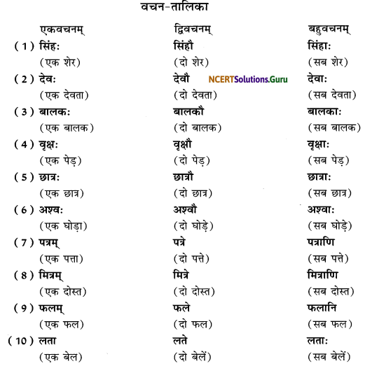 Class 6 Sanskrit Grammar Book Solutions वचन-बोधनम् 3