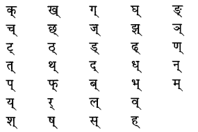 Class 6 Sanskrit Grammar Book Solutions वर्णमाला