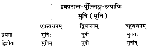Class 6 Sanskrit Grammar Book Solutions शब्दरूपाणि 10