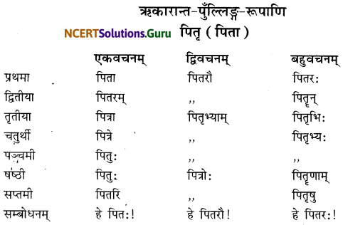Class 6 Sanskrit Grammar Book Solutions शब्दरूपाणि 12