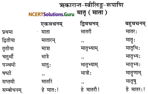 Class 6 Sanskrit Grammar Book Solutions शब्दरूपाणि 13