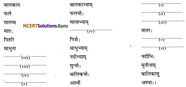 Class 6 Sanskrit Grammar Book Solutions शब्दरूपाणि 14