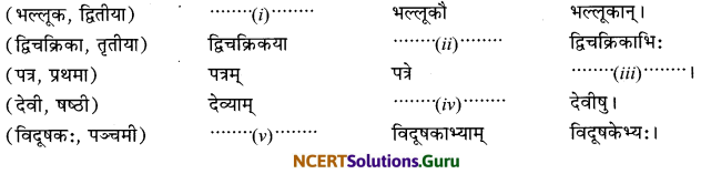 Class 6 Sanskrit Grammar Book Solutions शब्दरूपाणि 15