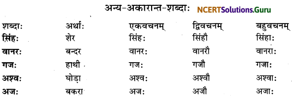 Class 6 Sanskrit Grammar Book Solutions शब्दरूपाणि 2