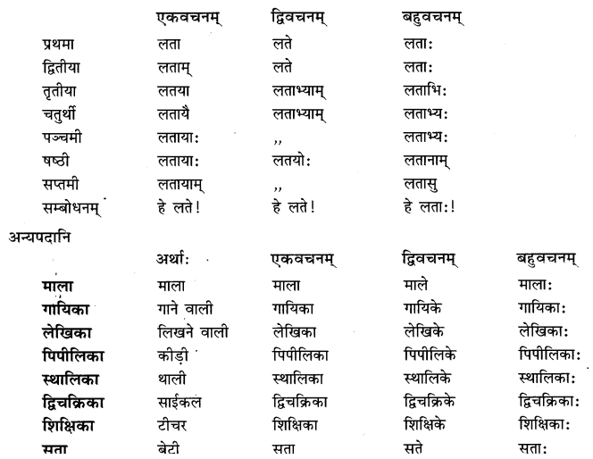 Class-6-Sanskrit-Grammar-Book-Solutions-शब्दरूपाणि-20