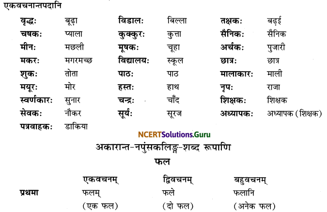 Class 6 Sanskrit Grammar Book Solutions शब्दरूपाणि 3