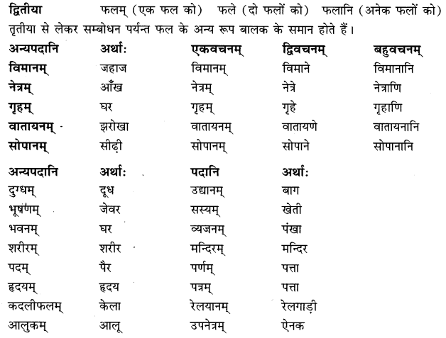 Class 6 Sanskrit Grammar Book Solutions शब्दरूपाणि 4