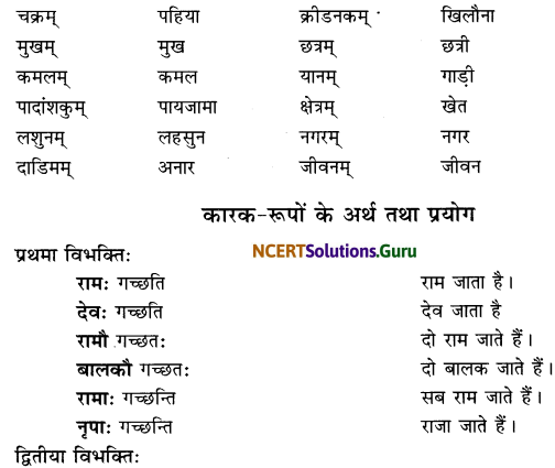 Class 6 Sanskrit Grammar Book Solutions शब्दरूपाणि 5