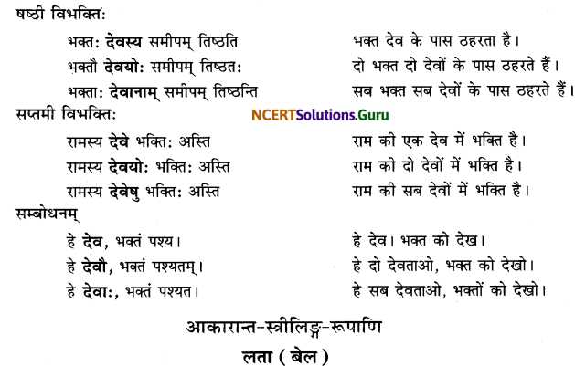 Class 6 Sanskrit Grammar Book Solutions शब्दरूपाणि 7