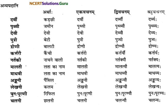Class 6 Sanskrit Grammar Book Solutions शब्दरूपाणि 9