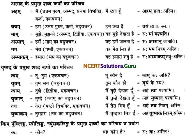 Class 6 Sanskrit Grammar Book Solutions सर्वनाम संख्यावाचक शब्दरूपाणि 1