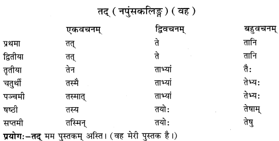 Class 6 Sanskrit Grammar Book Solutions सर्वनाम संख्यावाचक शब्दरूपाणि 10