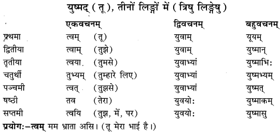 Class 6 Sanskrit Grammar Book Solutions सर्वनाम संख्यावाचक शब्दरूपाणि 14