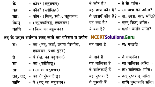 Class 6 Sanskrit Grammar Book Solutions सर्वनाम संख्यावाचक शब्दरूपाणि 2