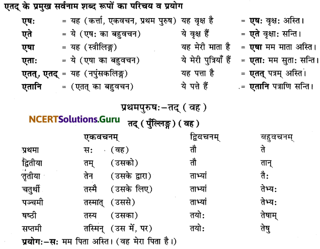 Class 6 Sanskrit Grammar Book Solutions सर्वनाम संख्यावाचक शब्दरूपाणि 3