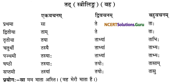 Class 6 Sanskrit Grammar Book Solutions सर्वनाम संख्यावाचक शब्दरूपाणि 4