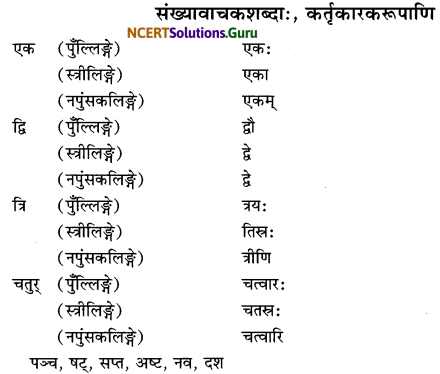Class 6 Sanskrit Grammar Book Solutions सर्वनाम संख्यावाचक शब्दरूपाणि 9