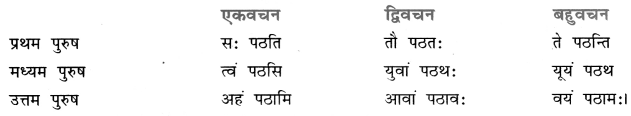 Class 7 Sanskrit Grammar Book Solutions अनुवादः