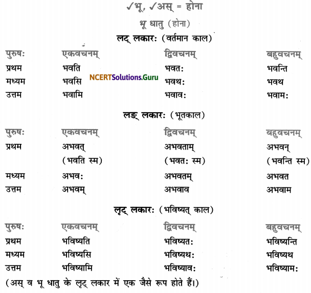Class 7 Sanskrit Grammar Book Solutions धातुरूप-प्रकरणम् 1
