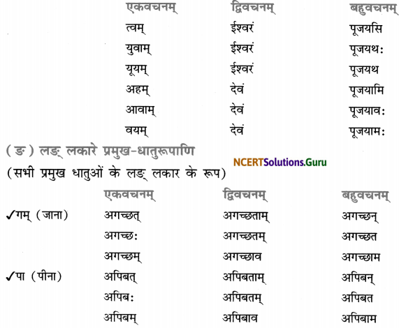 Class 7 Sanskrit Grammar Book Solutions धातुरूप-प्रकरणम् 10