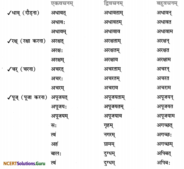 Class 7 Sanskrit Grammar Book Solutions धातुरूप-प्रकरणम् 12