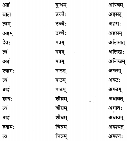 Class 7 Sanskrit Grammar Book Solutions धातुरूप-प्रकरणम् 13