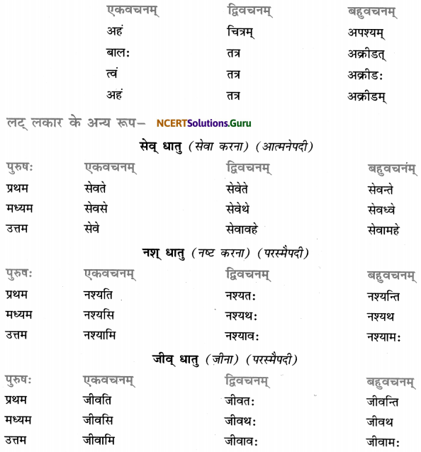 Class 7 Sanskrit Grammar Book Solutions धातुरूप-प्रकरणम् 14