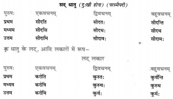 Class 7 Sanskrit Grammar Book Solutions धातुरूप-प्रकरणम् 15
