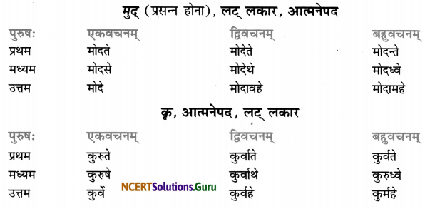 Class 7 Sanskrit Grammar Book Solutions धातुरूप-प्रकरणम् 18