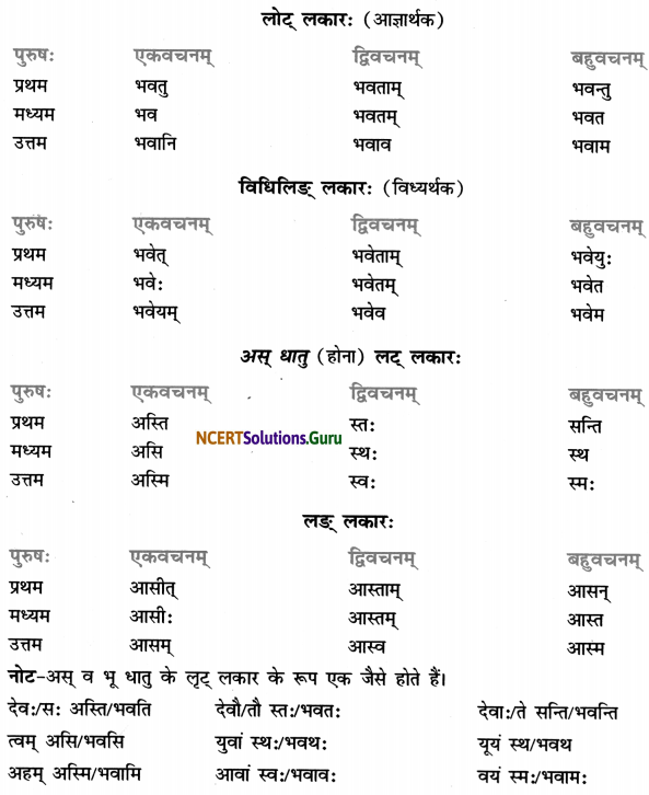 Class 7 Sanskrit Grammar Book Solutions धातुरूप-प्रकरणम् 2