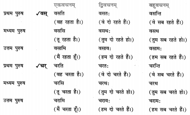 Class 7 Sanskrit Grammar Book Solutions धातुरूप-प्रकरणम् 7