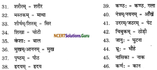 Class 7 Sanskrit Grammar Book Solutions परिशिष्टम् 2