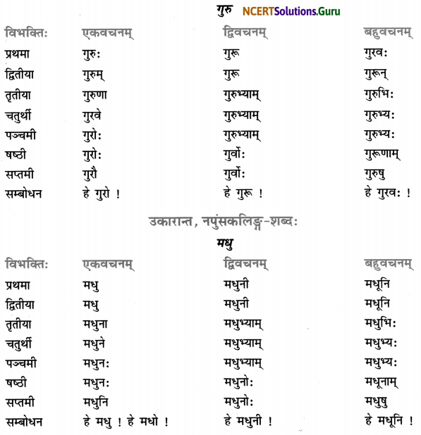 Class 7 Sanskrit Grammar Book Solutions शब्द-रूपाणि 10