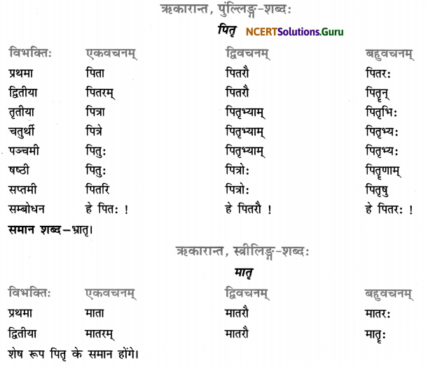 Class 7 Sanskrit Grammar Book Solutions शब्द-रूपाणि 11