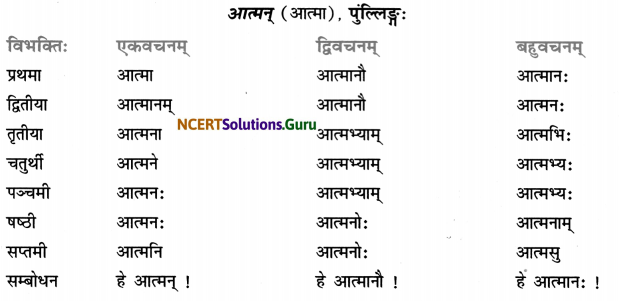 Class 7 Sanskrit Grammar Book Solutions शब्द-रूपाणि 12
