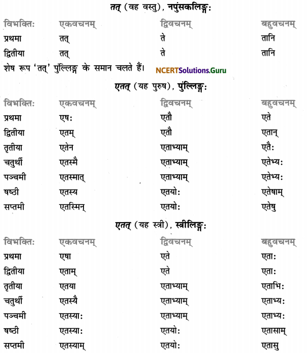Class 7 Sanskrit Grammar Book Solutions शब्द-रूपाणि 15