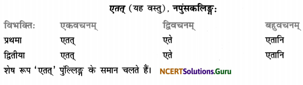 Class 7 Sanskrit Grammar Book Solutions शब्द-रूपाणि 16