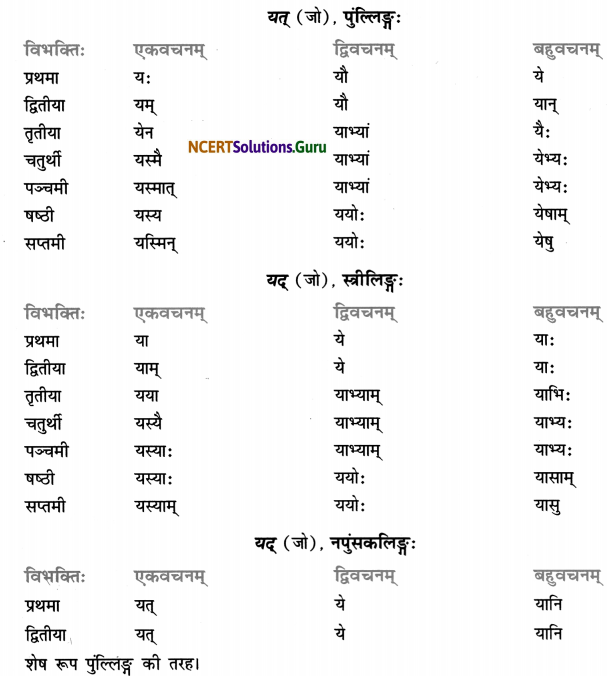 Class 7 Sanskrit Grammar Book Solutions शब्द-रूपाणि 17