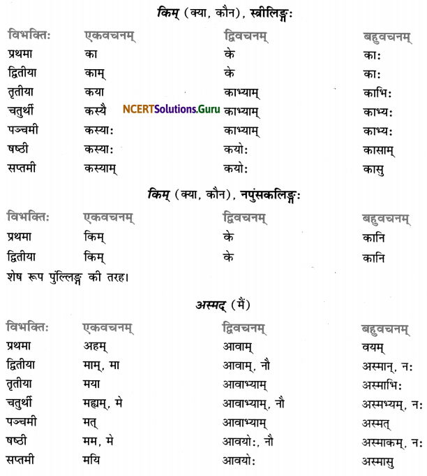 Class 7 Sanskrit Grammar Book Solutions शब्द-रूपाणि 19