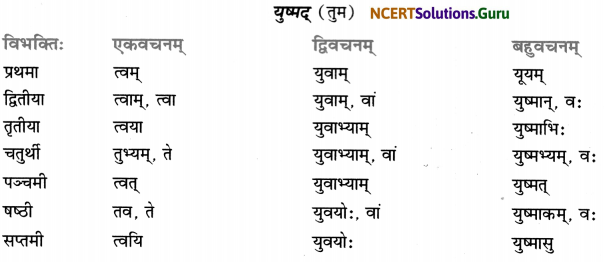 Class 7 Sanskrit Grammar Book Solutions शब्द-रूपाणि 20