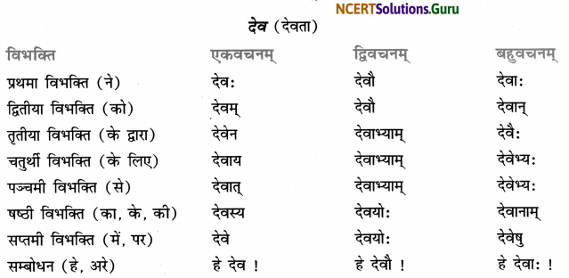Class 7 Sanskrit Grammar Book Solutions शब्द-रूपाणि 21