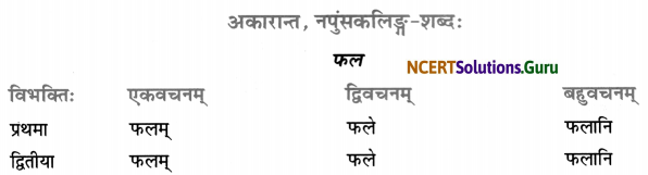 Class 7 Sanskrit Grammar Book Solutions शब्द-रूपाणि 22